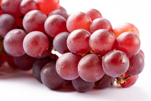 GRAPESEED OIL